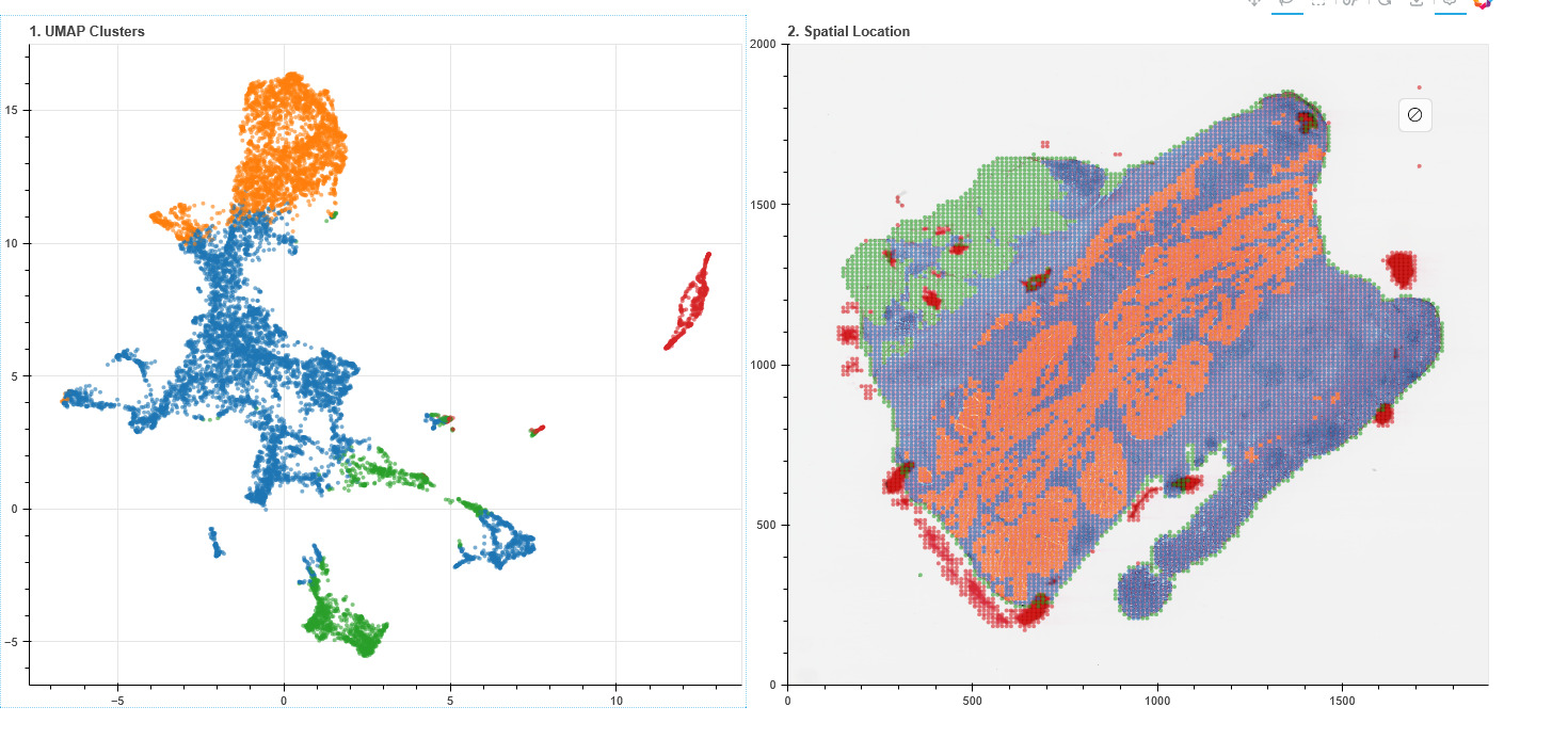 UMAP embedding space and spatial map (example visualization)